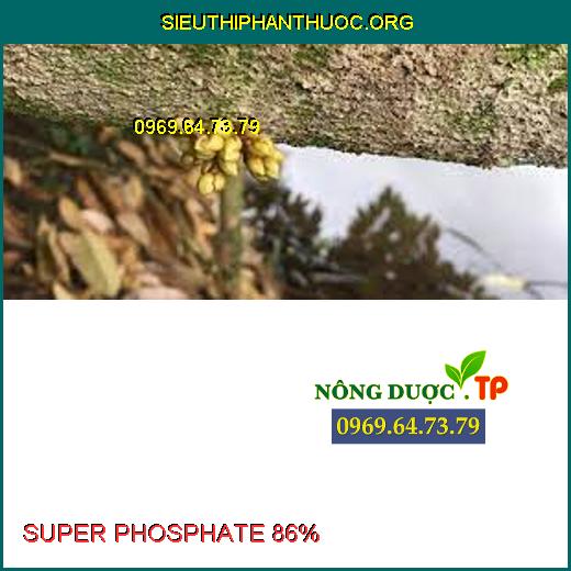 SUPER PHOSPHATE 86% 