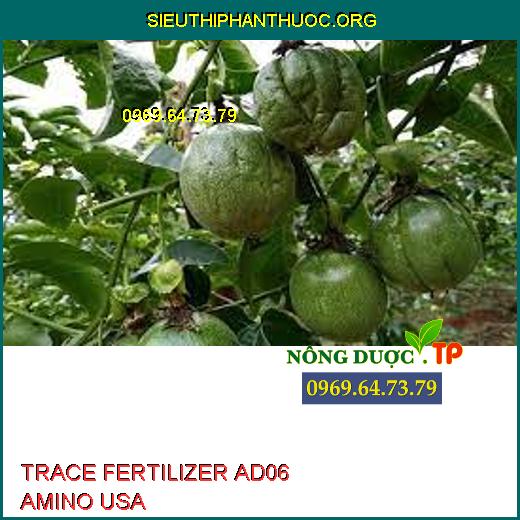 TRACE FERTILIZER AD06 AMINO USA