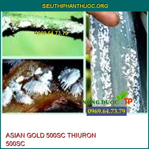 ASIAN GOLD 500SC THIURON 500SC