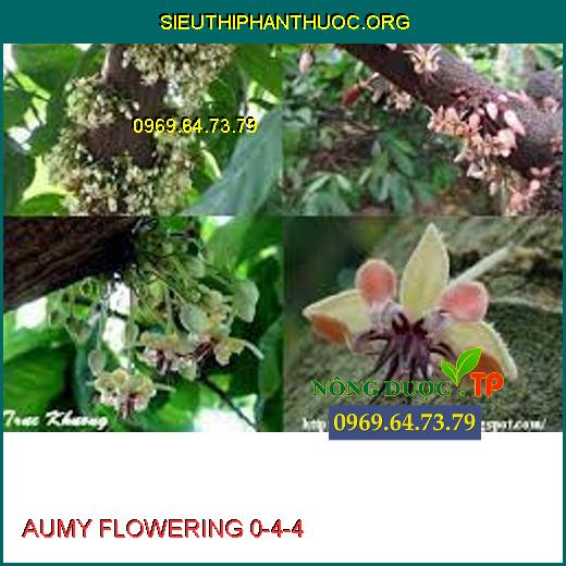 AUMY FLOWERING 0-4-4