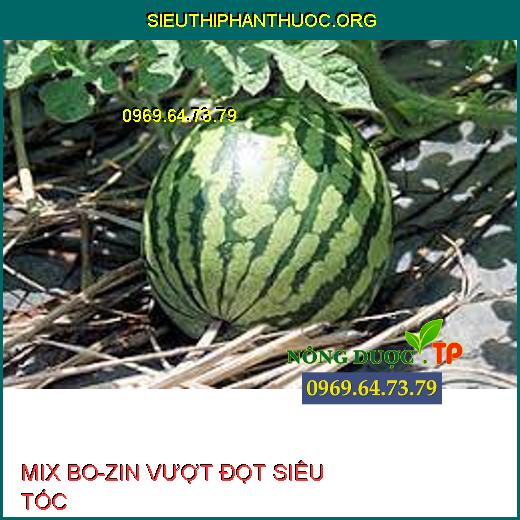 MIX BO-ZIN VƯỢT ĐỌT SIÊU TỐC