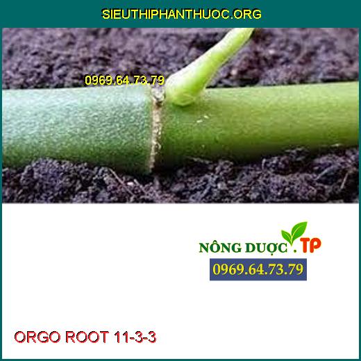 ORGO ROOT 11-3-3