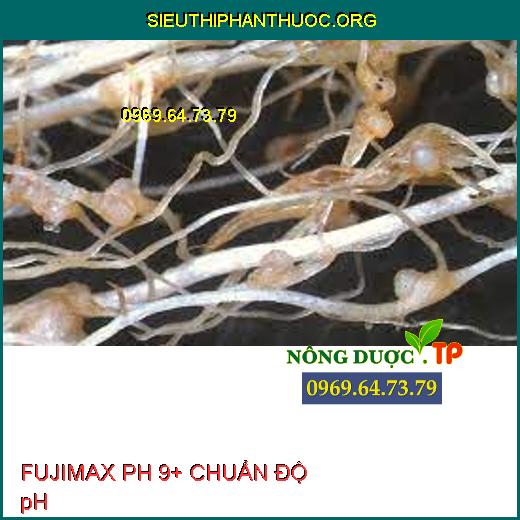FUJIMAX PH 9+ CHUẨN ĐỘ pH