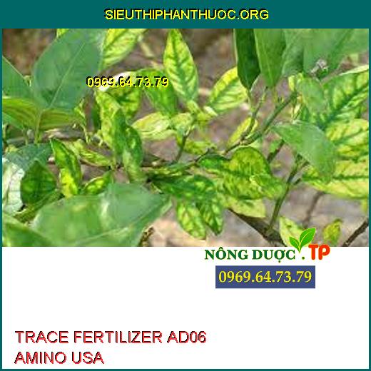 TRACE FERTILIZER AD06 AMINO USA