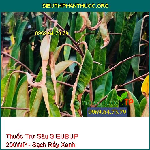 Thuốc Trừ Sâu SIEUBUP 200WP - Sạch Rầy Xanh