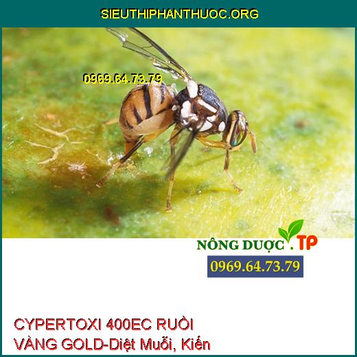 CYPERTOXI 400EC RUỒI VÀNG GOLD - Diệt Muỗi, Kiến, Côn Trùng Kháng Thuốc