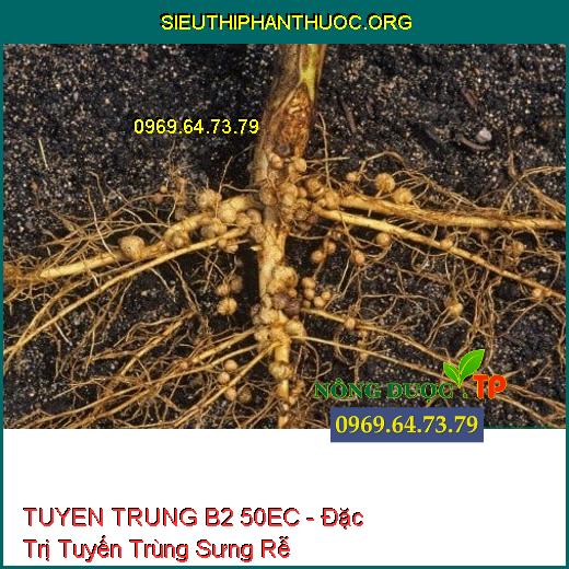 TUYEN TRUNG B2 50EC - Đặc Trị Tuyến Trùng Sưng Rễ Thối Rễ, Vàng Lá Chết Cây