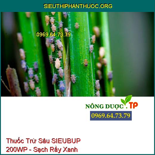 Thuốc Trừ Sâu SIEUBUP 200WP - Sạch Rầy Xanh