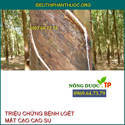 LOÉT MẶT CẠO