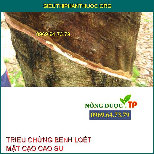 LOÉT MẶT CẠO