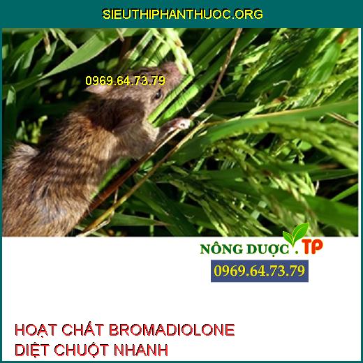 HOẠT CHẤT BROMADIOLONE