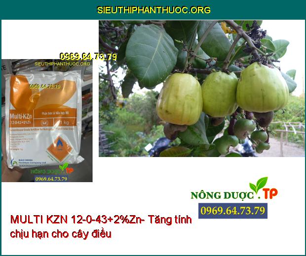 MULTI KZN 12-0-43+2%Zn-Trái Nhanh Lớn-Ra Hoa Đồng Loạt-Tăng Độ Ngọt-Tăng Đề Kháng