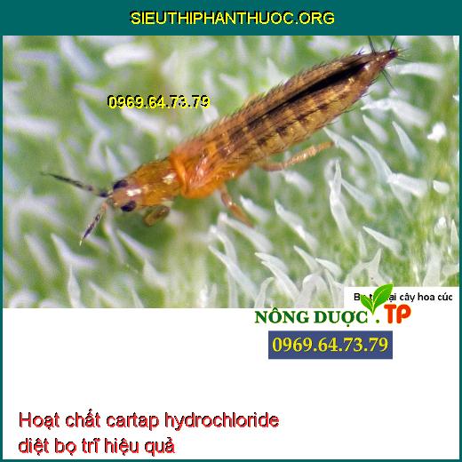 Hoạt chất cartap hydrochloride