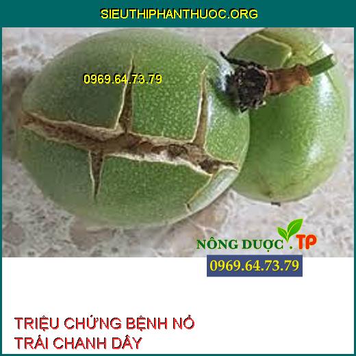 BỆNH NỔ TRÁI