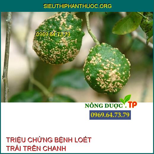 BỆNH LOÉT TRÁI