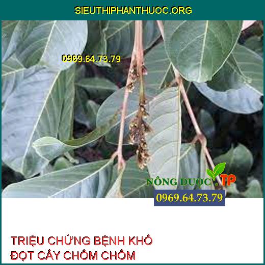 BỆNH KHÔ ĐỌT