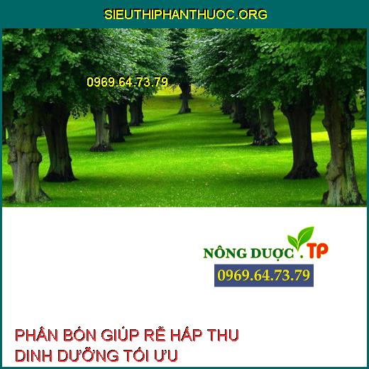 HẤP THU DINH DƯỠNG