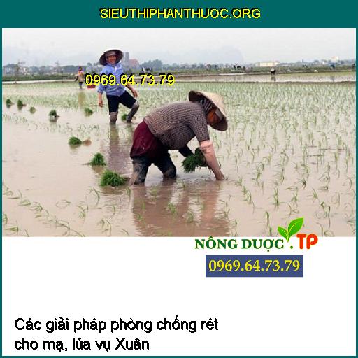 Các giải pháp phòng chống rét cho mạ, lúa vụ Xuân