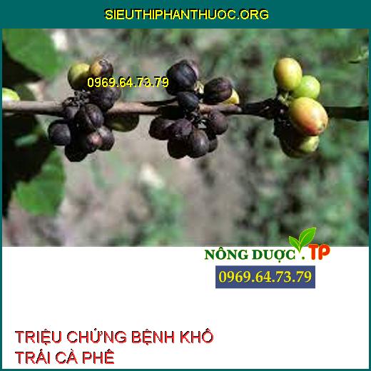 BỆNH KHÔ TRÁI