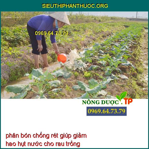 phân bón chống rét giúp giảm hao hụt nước cho rau trồng