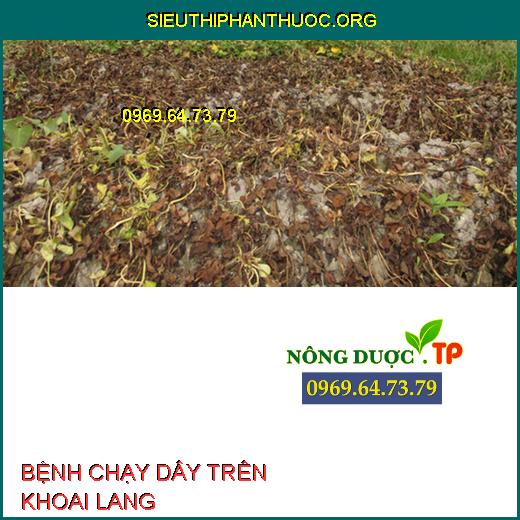 BỆNH CHẠY DÂY