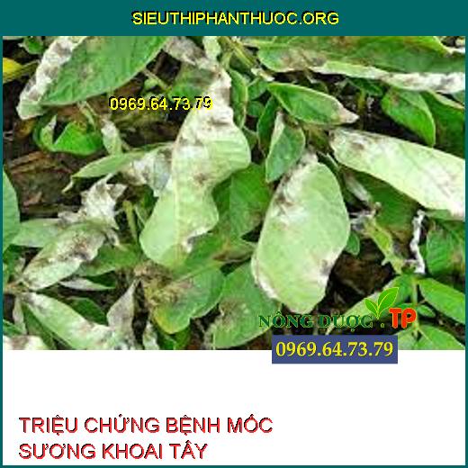 BỆNH MỐC SƯƠNG