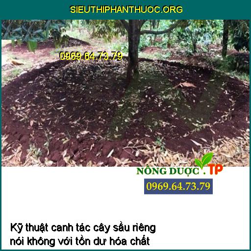 Kỹ thuật canh tác cây sầu riêng nói không với tồn đọng hóa chất