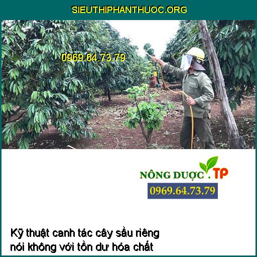 Kỹ thuật canh tác cây sầu riêng nói không với tồn đọng hóa chất