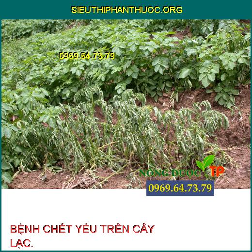 BỆNH CHẾT YỂU