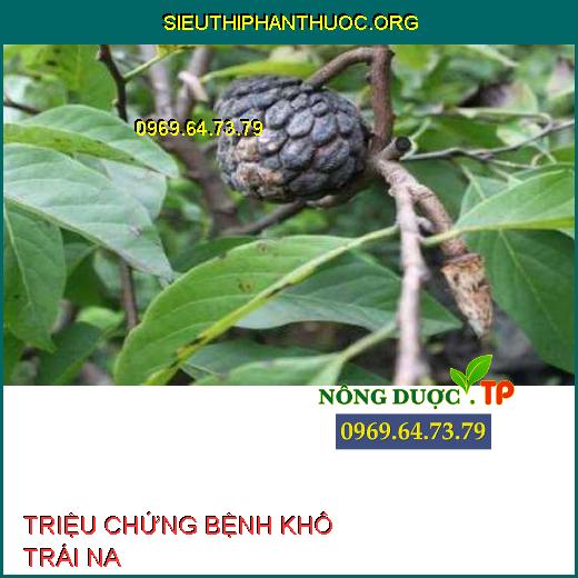 BỆNH KHÔ TRÁI