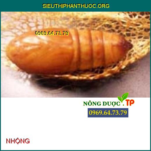 Top 3 Thuốc diệt trừ SÂU RÓM HẠI ĐIỀU tốt nhất. - SIÊU THỊ PHÂN THUỐC