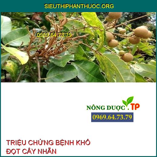 BỆNH KHÔ ĐỌT