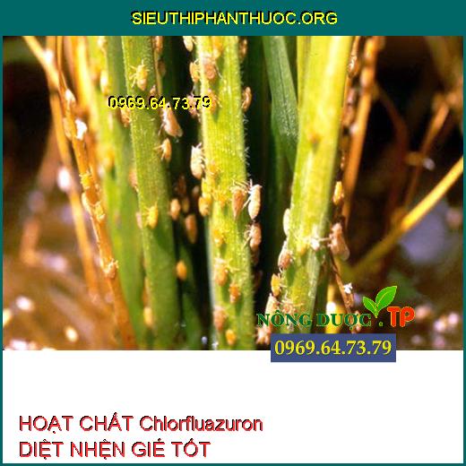 HOẠT CHẤT Chlorfluazuron