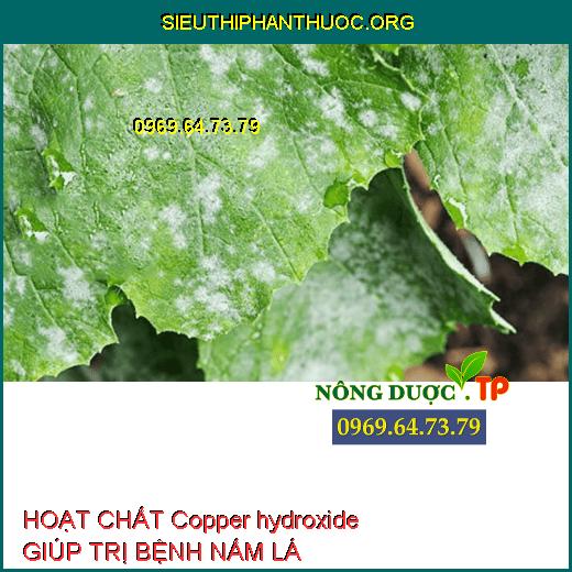 HOẠT CHẤT Copper hydroxide