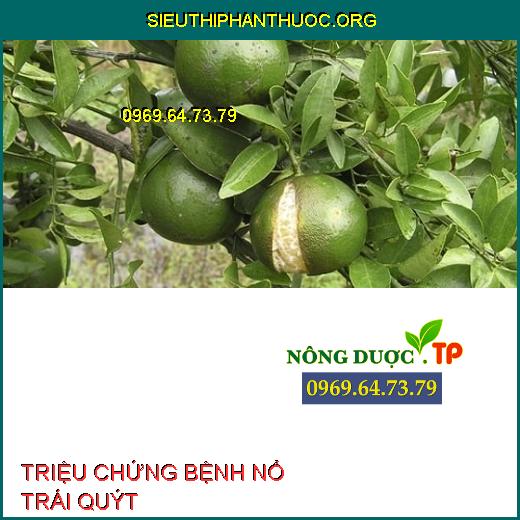 BỆNH NỔ TRÁI