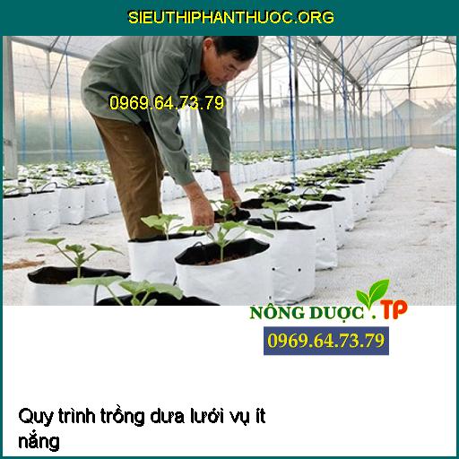 Quy trình trồng dưa lưới vụ ít nắng (dưa lưới trong nhà kính)