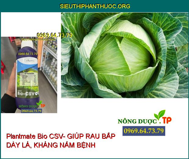 Plantmate Bio CSV- Đâm Chồi- Bung Đọt- Ra Hoa Đồng Loạt- Nuôi Quả.