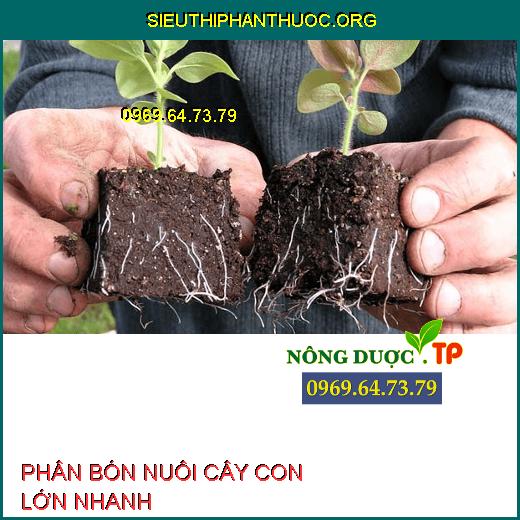 PHÂN BÓN NUÔI CÂY CON LỚN NHANH