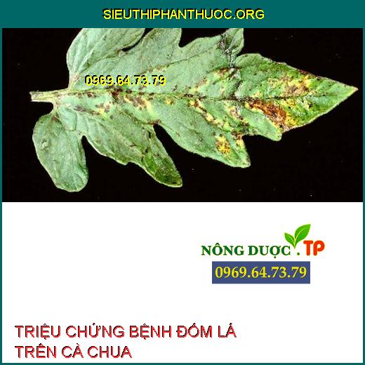 BỆNH ĐỐM LÁ TRÊN CÀ CHUA