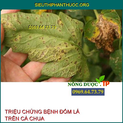 BỆNH ĐỐM LÁ TRÊN CÀ CHUA