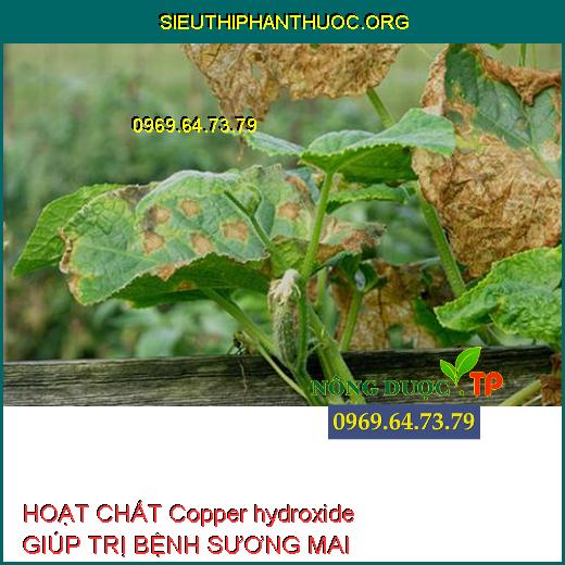 HOẠT CHẤT Copper hydroxide