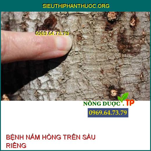 BỆNH NẤM HỒNG