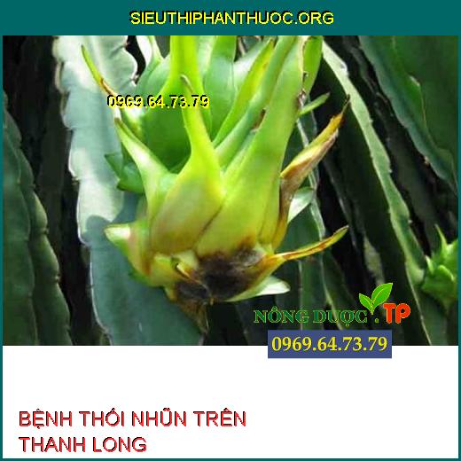 BỆNH THỐI NHŨN