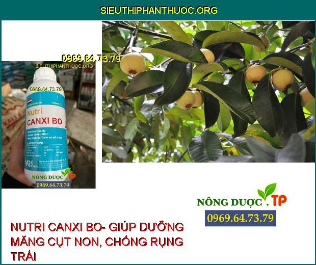 NUTRI CANXI BO- Chống Nứt Trái- Mập Đọt- Cứng Cây- Chống Rụng Trái Non