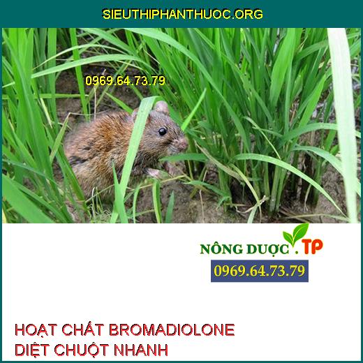 HOẠT CHẤT BROMADIOLONE