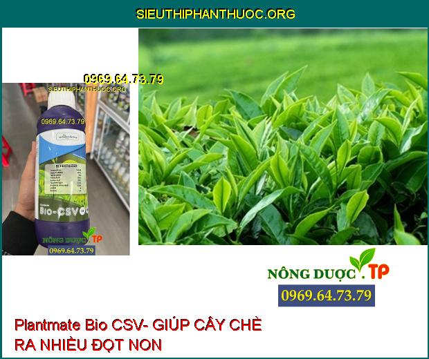 Plantmate Bio CSV- Đâm Chồi- Bung Đọt- Ra Hoa Đồng Loạt- Nuôi Quả.