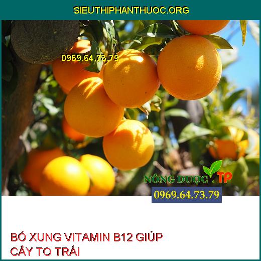 Vitamin B12