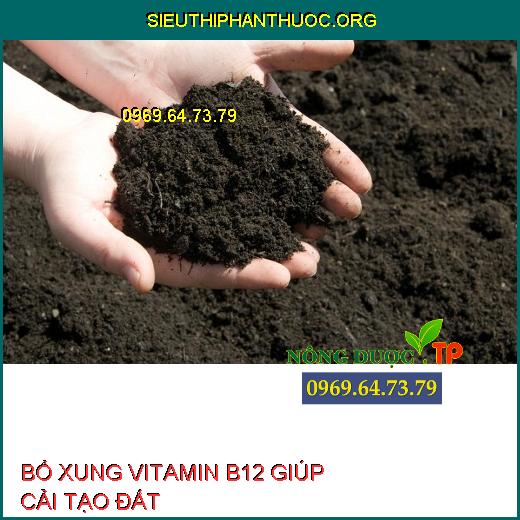 Vitamin B12