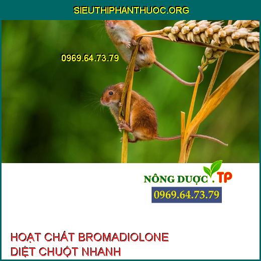 HOẠT CHẤT BROMADIOLONE