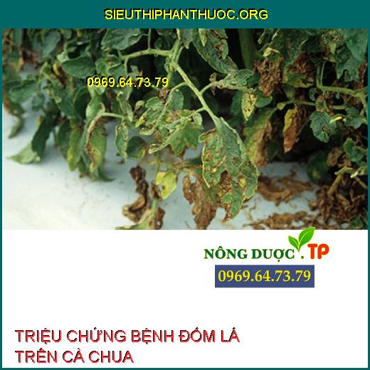 BỆNH ĐỐM LÁ TRÊN CÀ CHUA